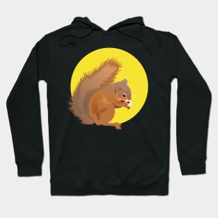 Eurasian Red Squirrel Hoodie